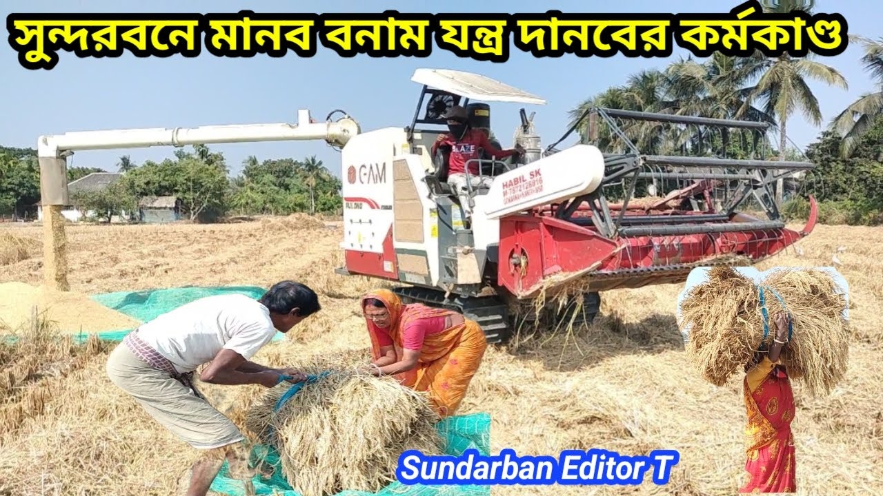 সুন্দরবনে মানব বনাম যন্ত্র দানবের কর্মকাণ্ড//Harvester Machine 2025😃😄😍 Sundarban Editor T