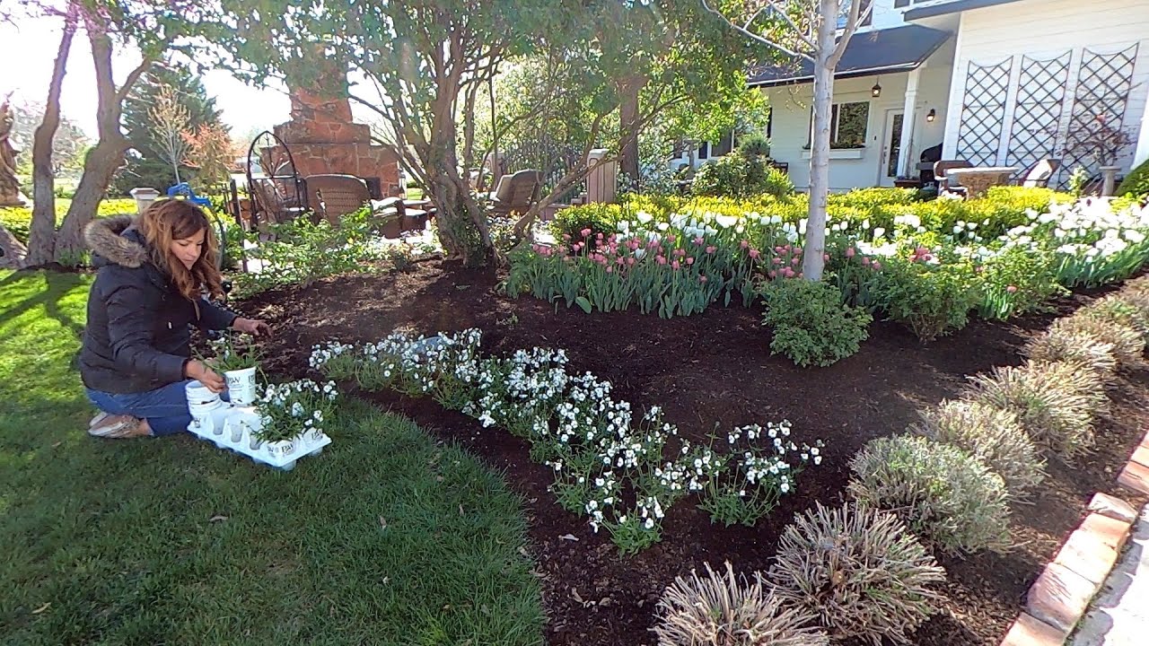 Planting Flowers that Perform Beautifully in both Cool & Warm Temps! 🌸💚💪 // Garden Answer