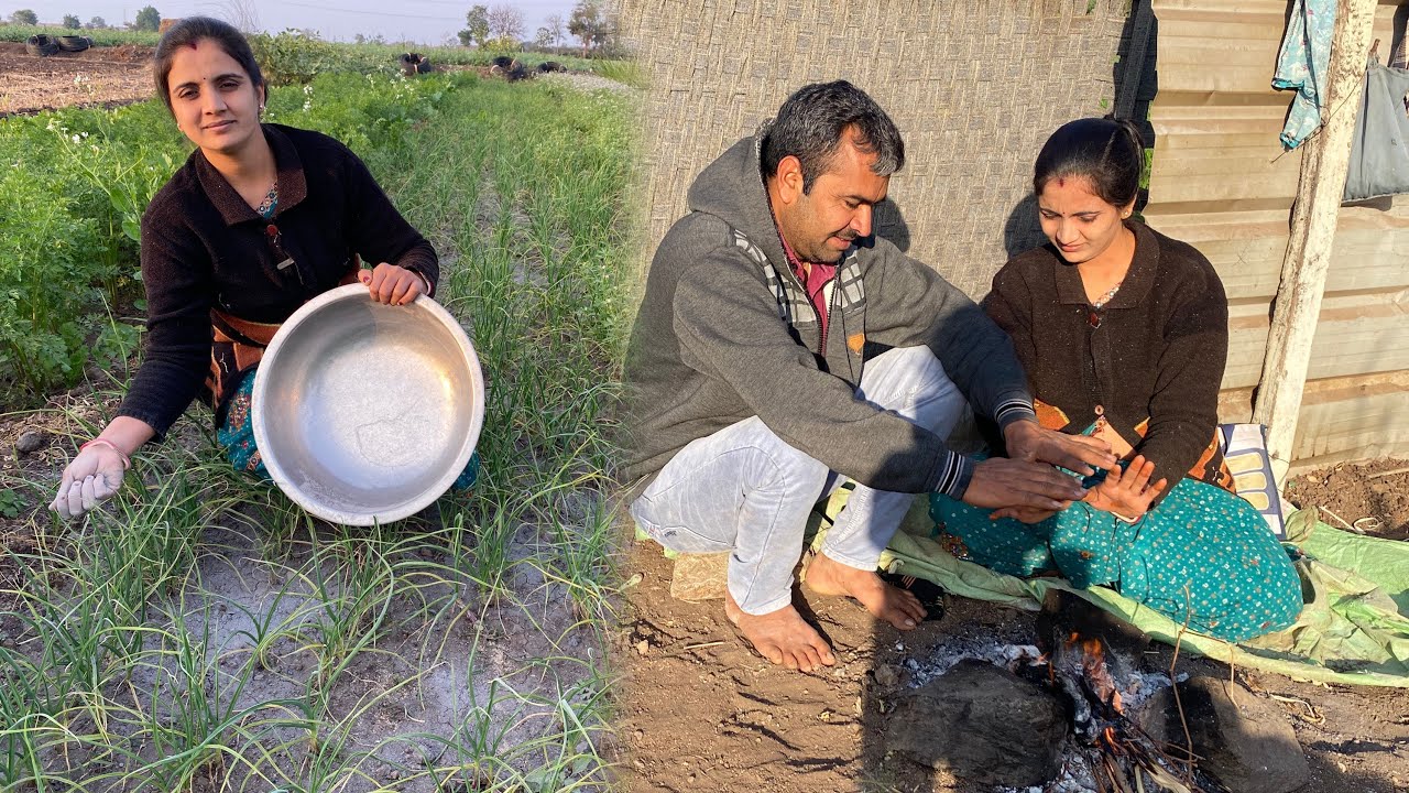 આપણી જાર ને બવ ઠંડી લાગી ગય