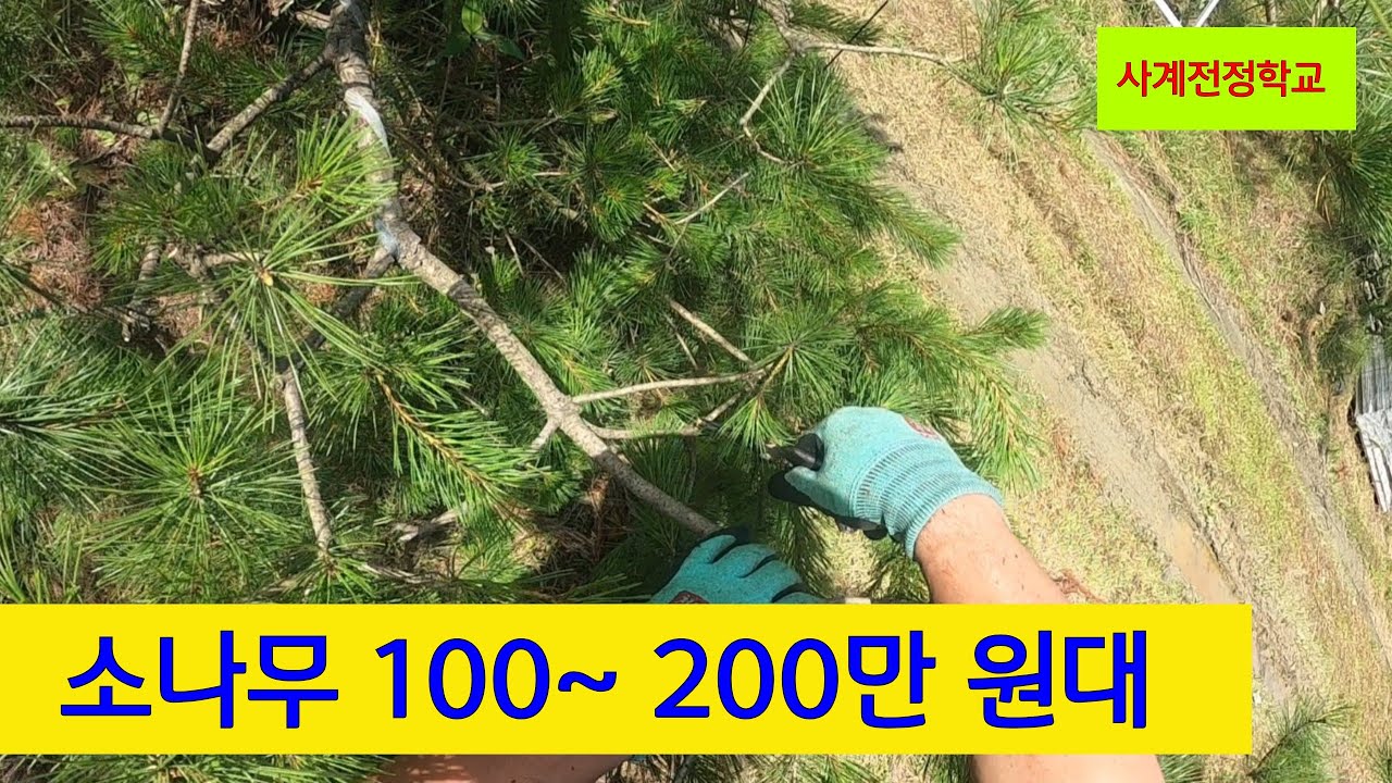 어떻게 다듬어 갈 것인가? #252사계전정학교 
