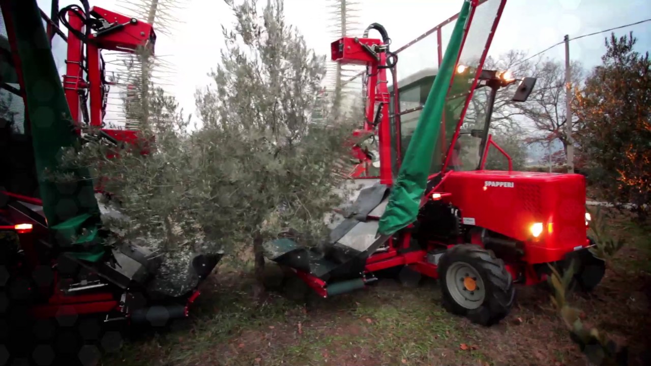 Cosechadora de olivos MIRO DOUBLE SYSTEM - SPAPPERI ITALIANA