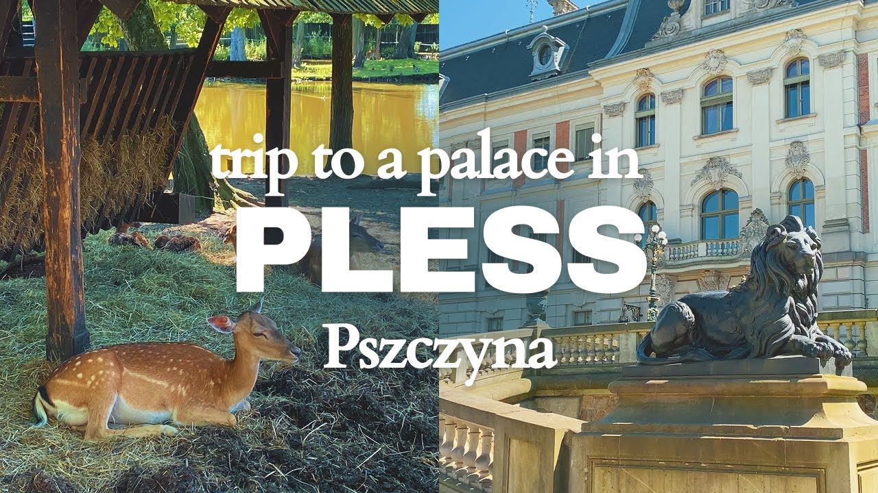 Poland’s Hidden Gem - Day Trip to Pszczyna Palace & Bisons 🦬 Reserve [SUB]