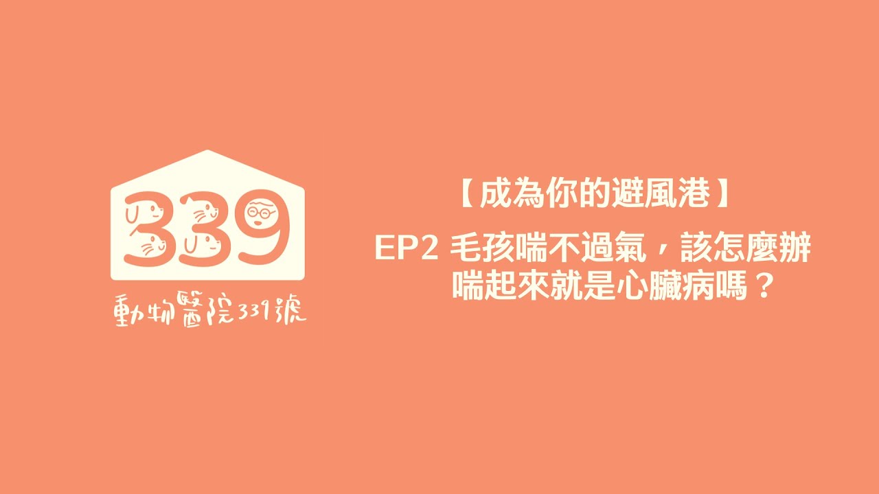 【成為你的避風港】EP2 毛孩感覺喘不過氣，該怎麼辦？喘起來就是心臟病嗎？