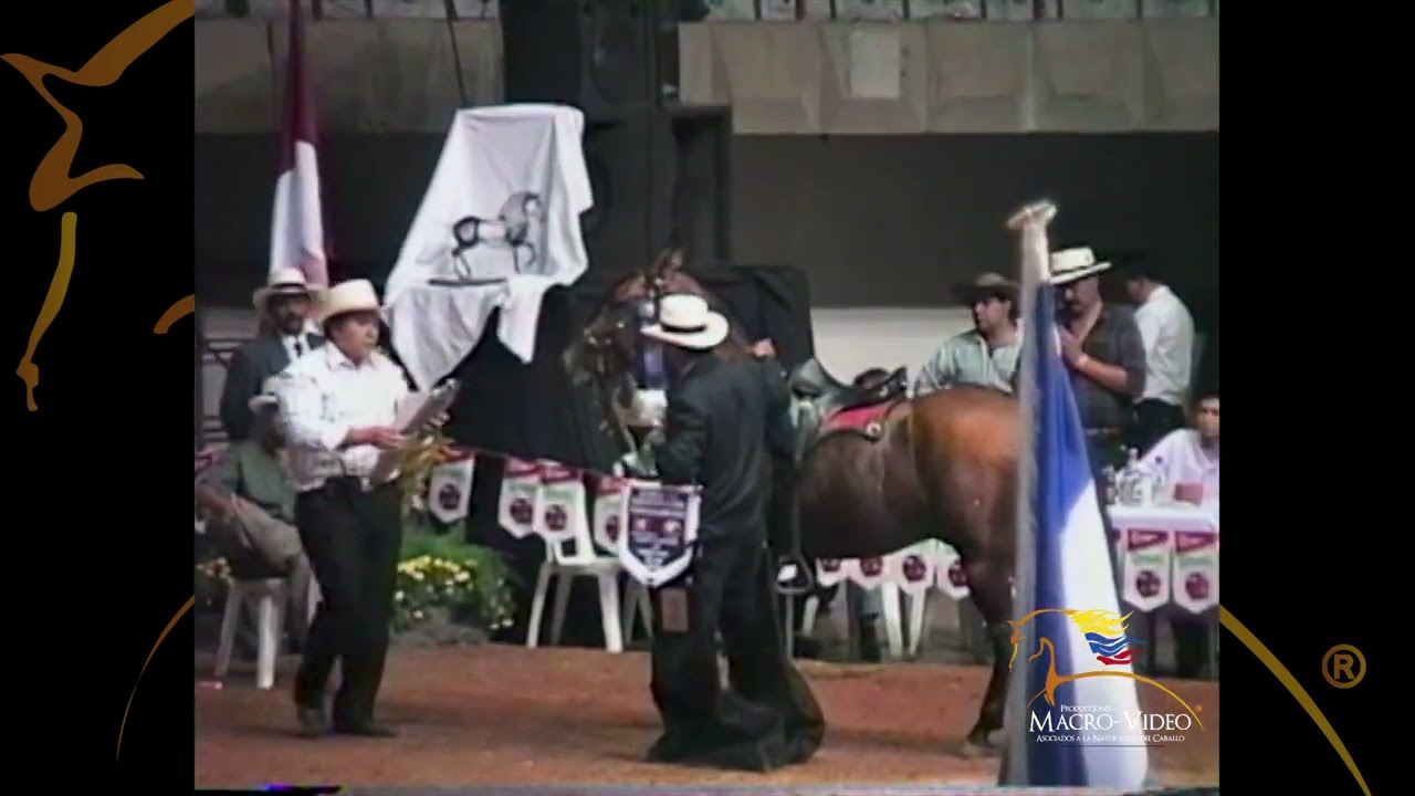 CAPITAN DE LA VITRINA GRAN CAMPEÓN CALI1994