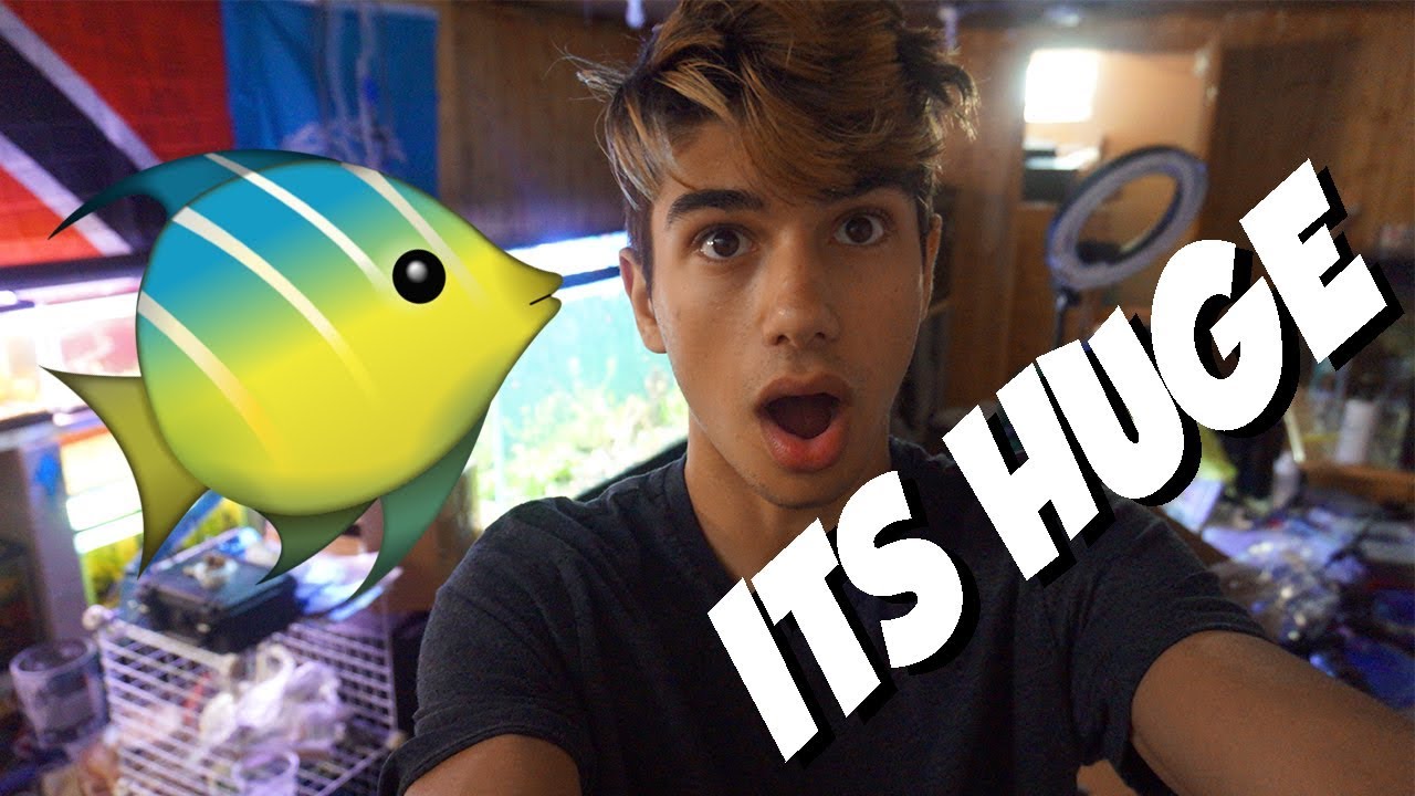 NEW FISH ROOM!!! GIANT*