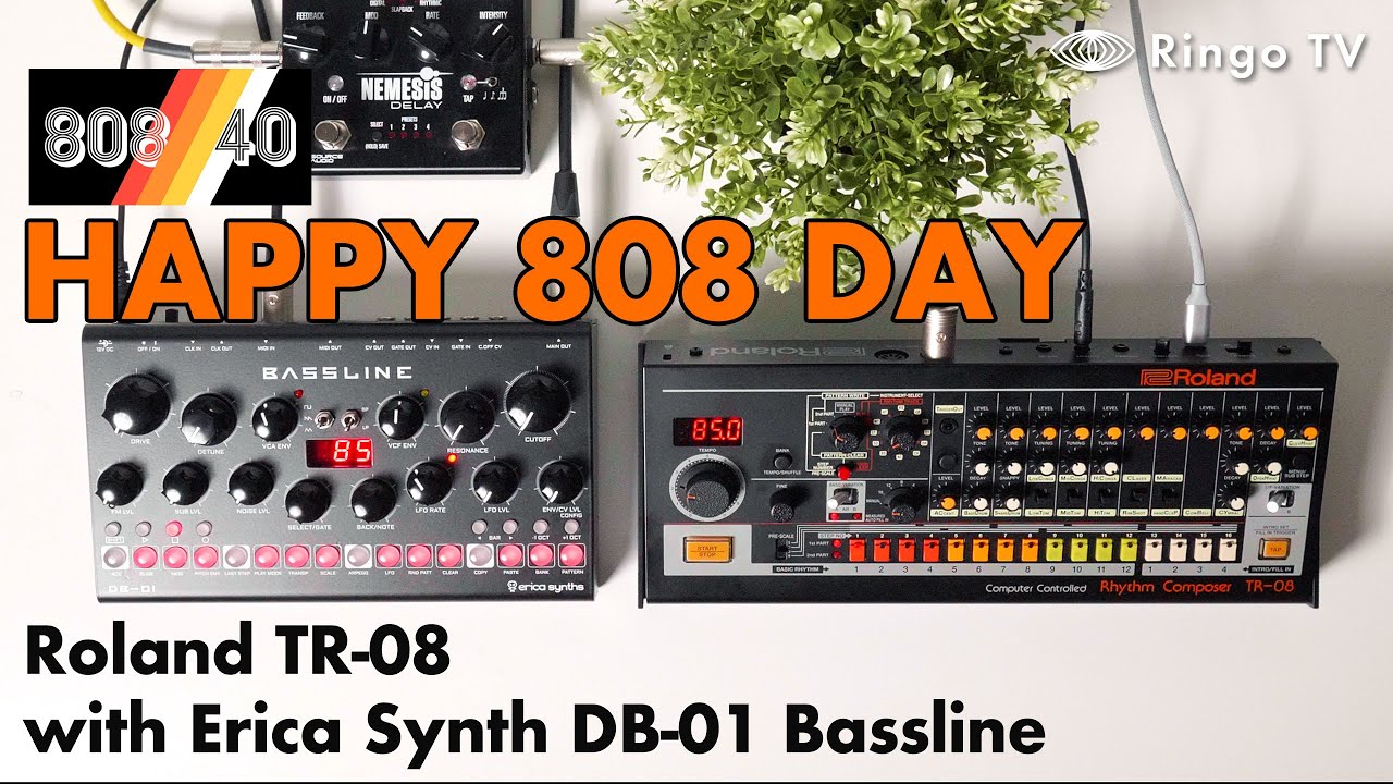[Ringo TV] Happy 808 DAY! Roland TR-08 with Erica synth DB-01 Bassline #808 #808DAY #DB01
