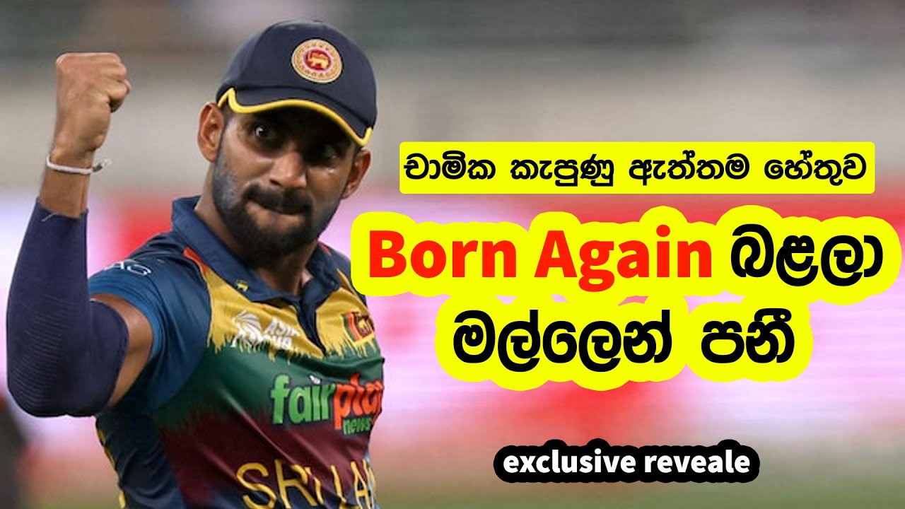 Born again බළලා මල්ලෙන් එළියට - චාමික කැපුණ ඇත්තම හේතුව මෙන්න (Exclusive Reveale)
