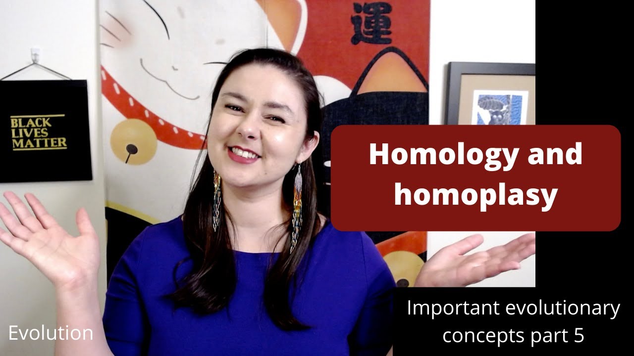 Homology and homoplasy