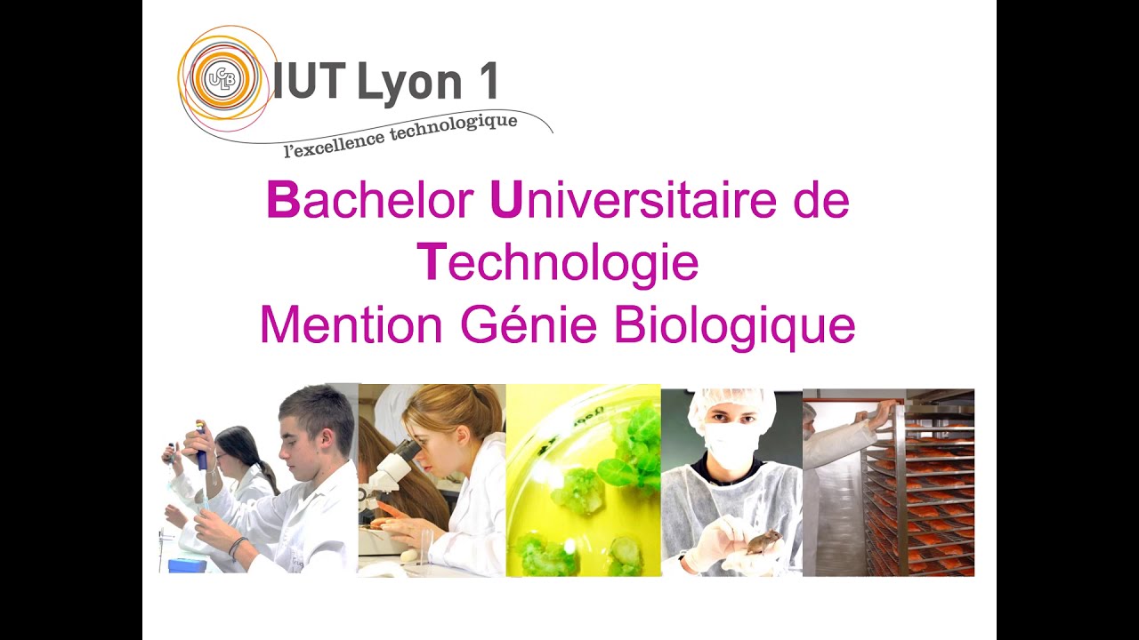 Présentation BUT département Génie Biologique Bourg (GB Bourg), parcours SAB (2021) - diaporama
