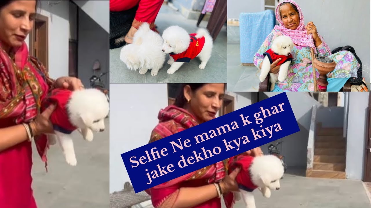 15/365 Days challenge ( selfie n mama k ghar jake dekho kya kiya😂😂)#viralvideo #viral #funny 