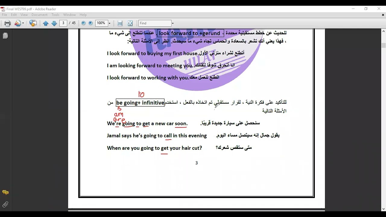 future hopes and plans el099