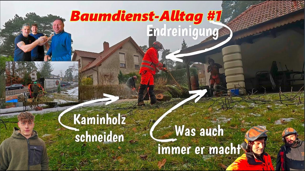 Baumdienst Alltag #1 ⛑️ Wenn man spontan umplanen muss ⛑️ Bades Baumdienst🌳