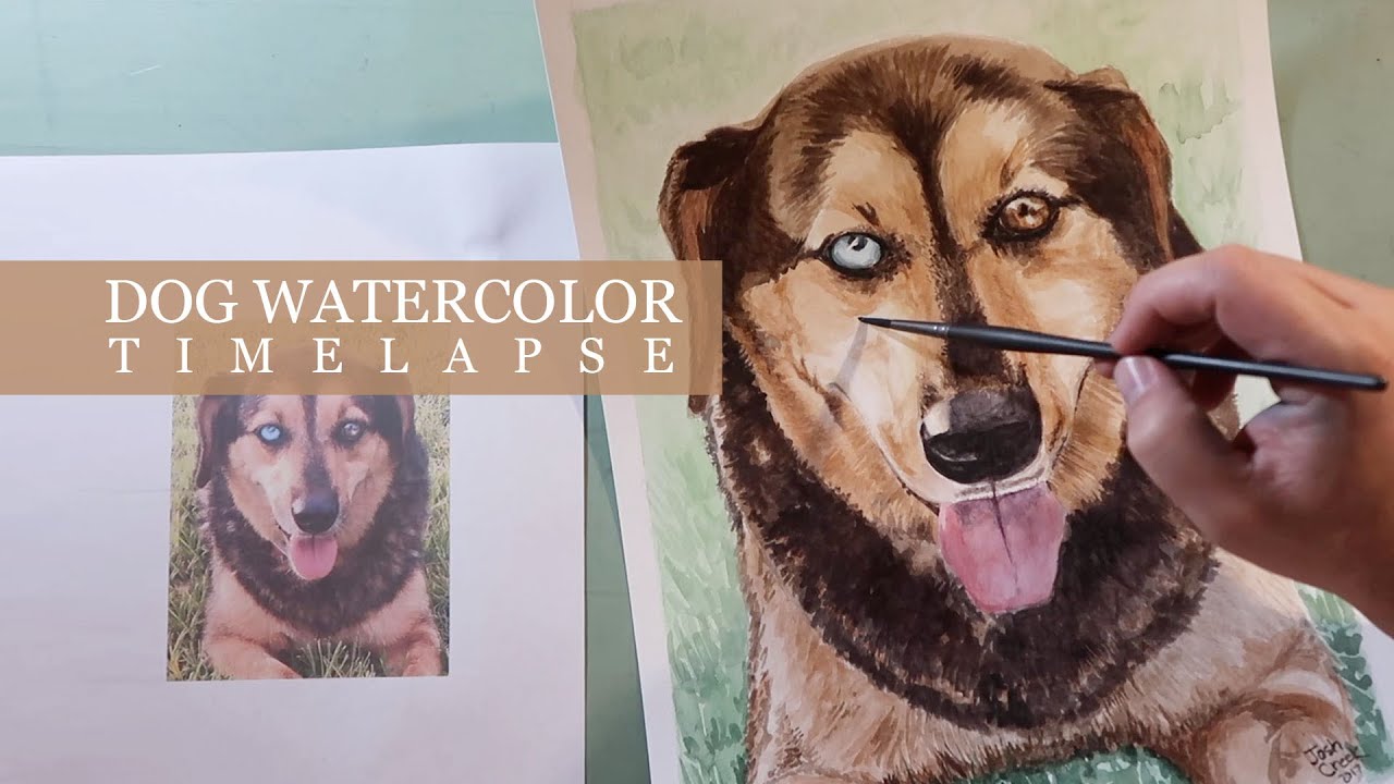 Dog Watercolor Timelapse - How to paint a dog in watercolor