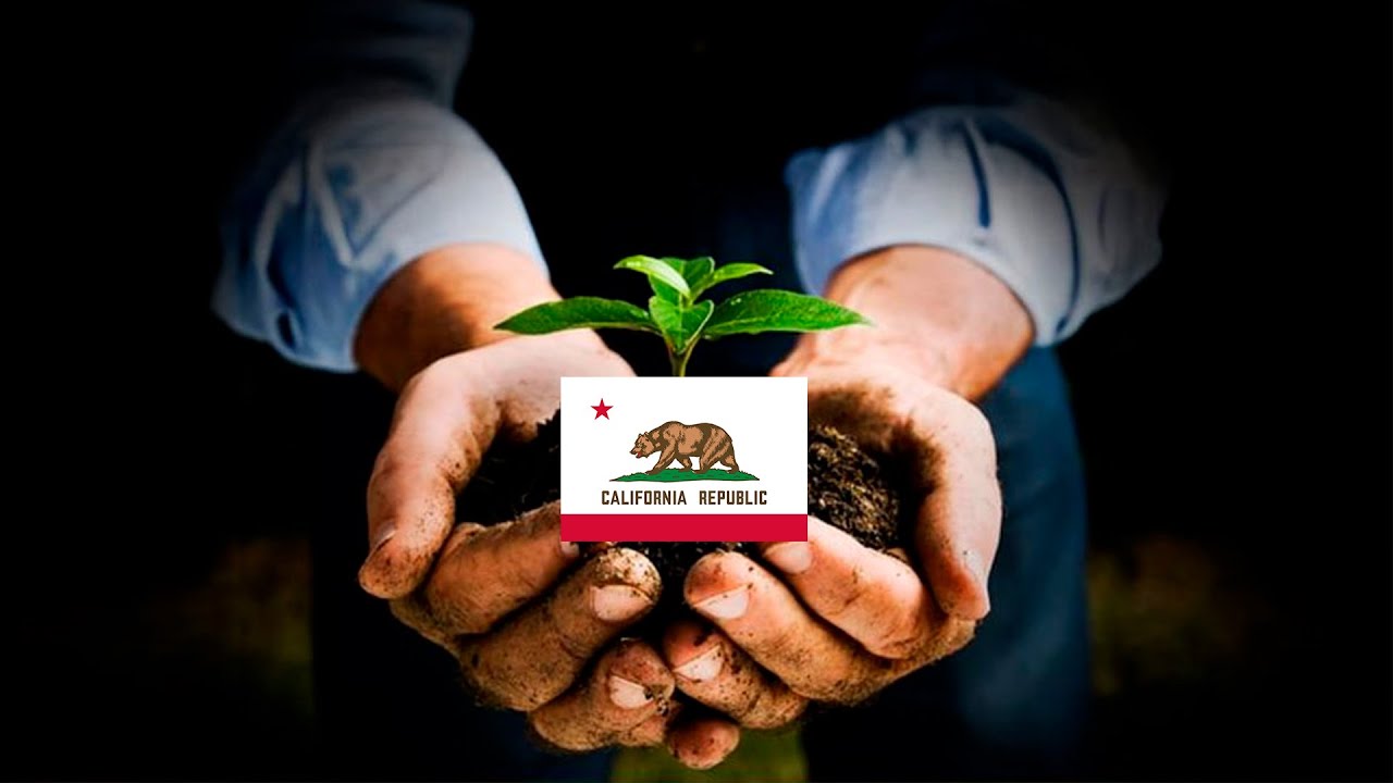 How To Start a Nonprofit Organization in California (Step-By-Step Guide) (2024)