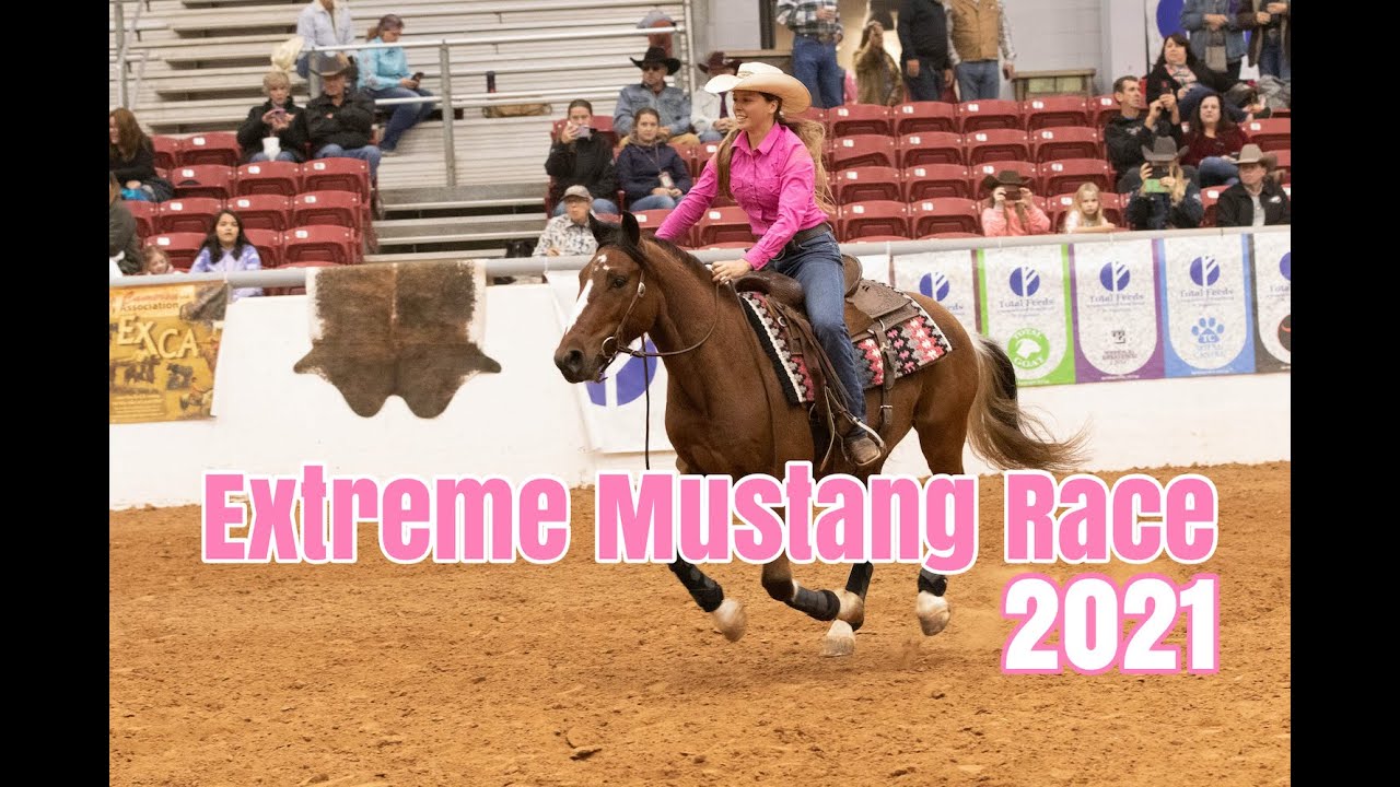 Stitch takes on the Extreme Mustang Race!