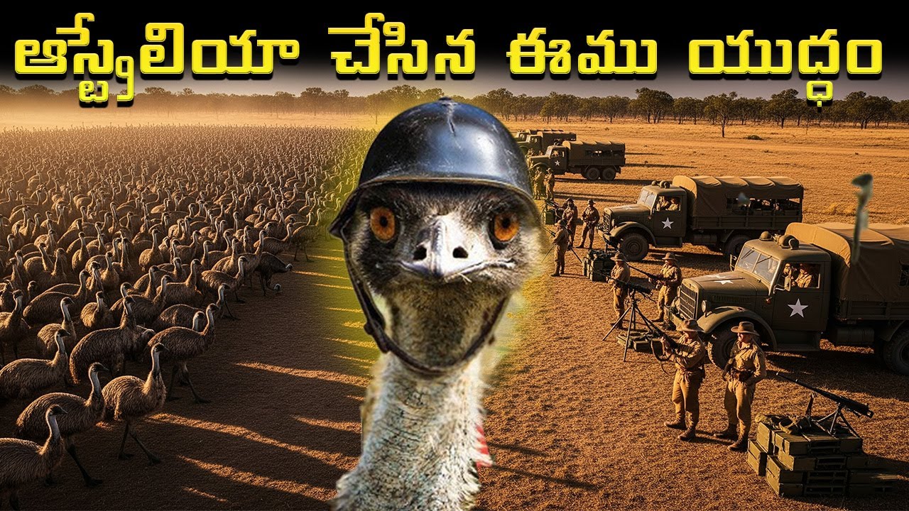 The INSANE True Story of the Great Emu War | ALCHEMIST TALKS