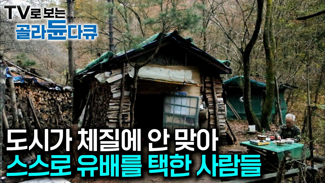 완벽하게 혼자 남았다. 아내와 자식 다 내려보내고 산에 혼자 남은 마지막 화전민｜해발 800미터 지대에 남아있는 유일한 굴피집에서 나 홀로 야생의 삶을 산다｜한국기행｜#골라듄다큐