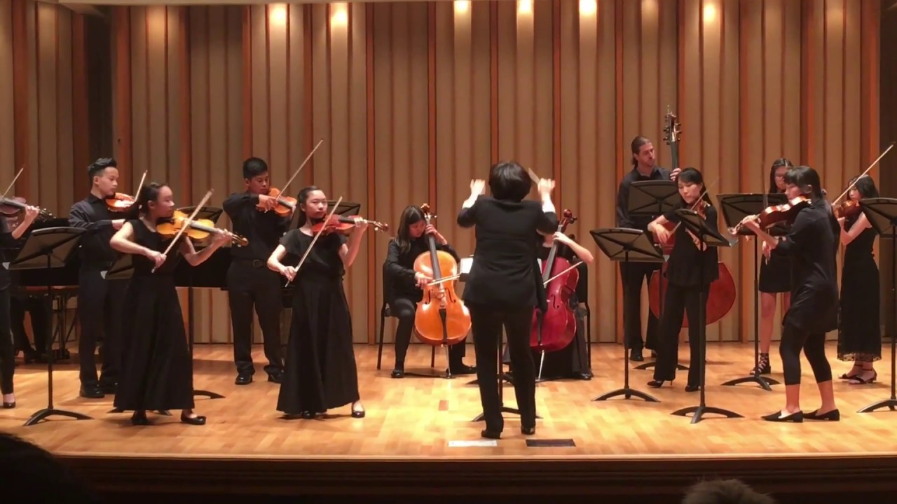 Sisters Play Double Bach Concerto, Movement 1