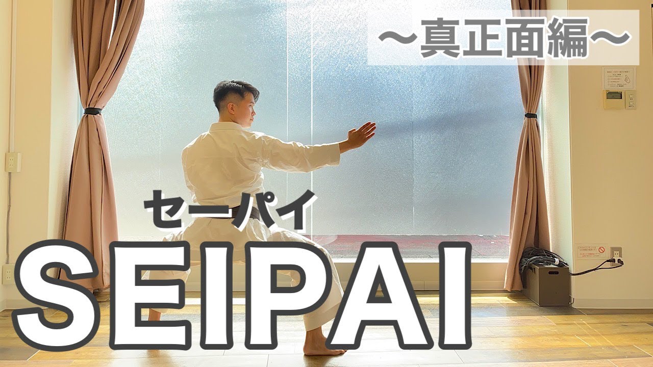 【大人気】セーパイを真正面から撮ってみた　#karate #kata #空手 #形