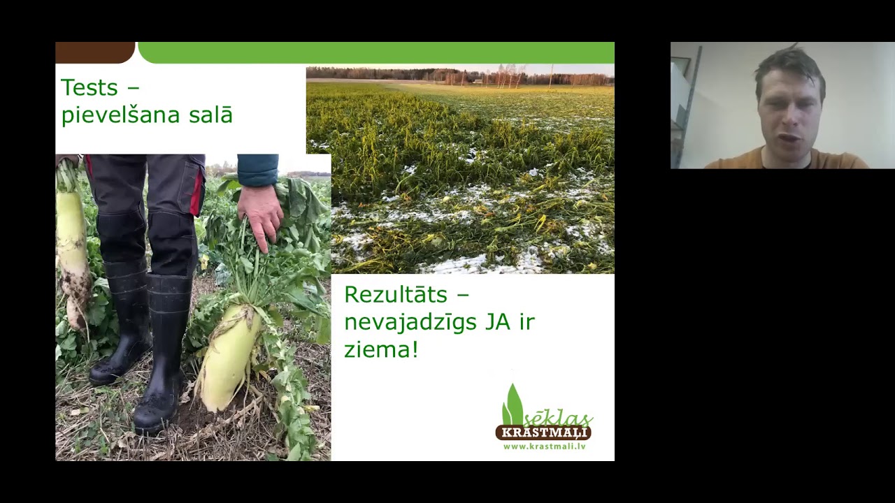 Praktiskā pieredze starpkultūru audzēšanā Ziemeļaustrumeiropas reģionā