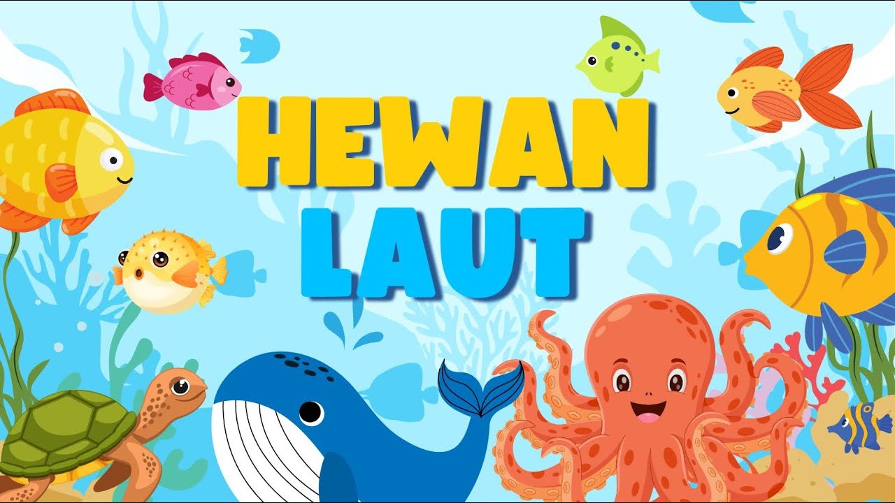 Mengenal Hewan Laut | Belajar Hewan-Hewan Laut Seru untuk Anak-anak