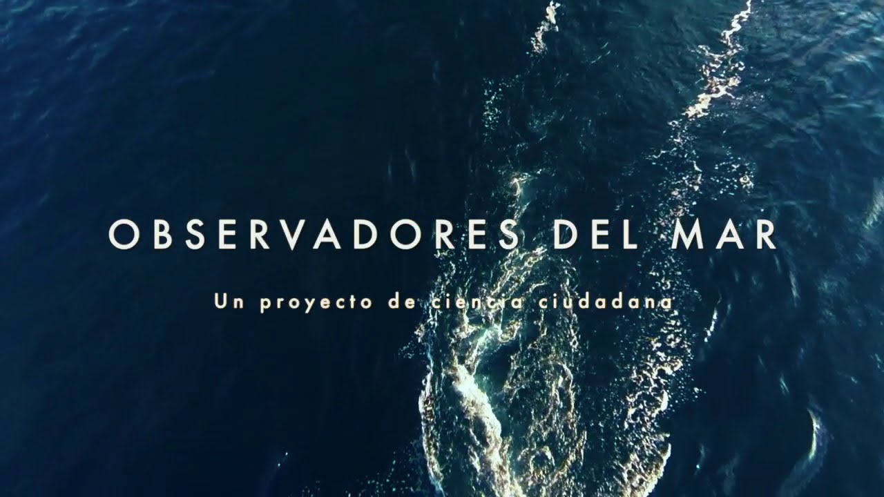 Observadores del Mar ( Sea Watchers )