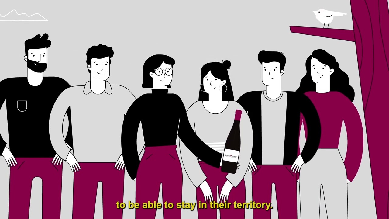 Discover the Designation of Origin Montsant