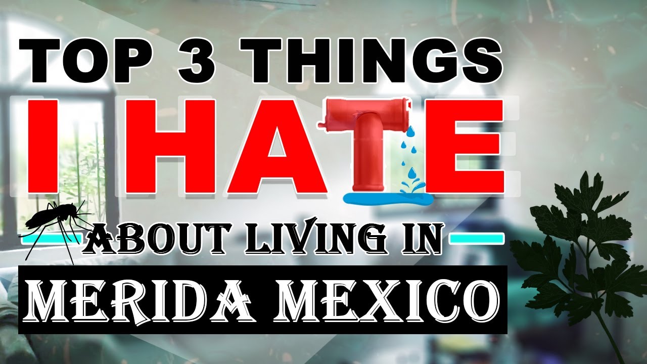 Living In Merida Mexico| Top 3 Things I Hate| Merida 2020| MexitPlans