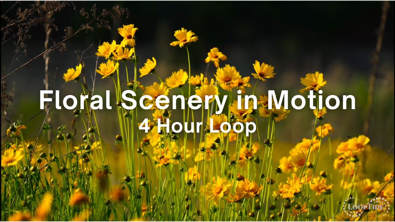Floral Serenity in Motion &bull; 4 Hour Nature Loop with Flowers Swaying in the Breeze