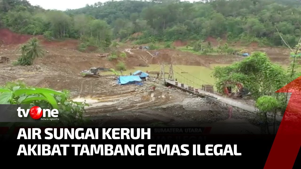 Imbas Tambang Emas Ilegal di DAS Batang Natal, Air Sungai Keruh Dan Tak Bisa Digunakan | tvOne