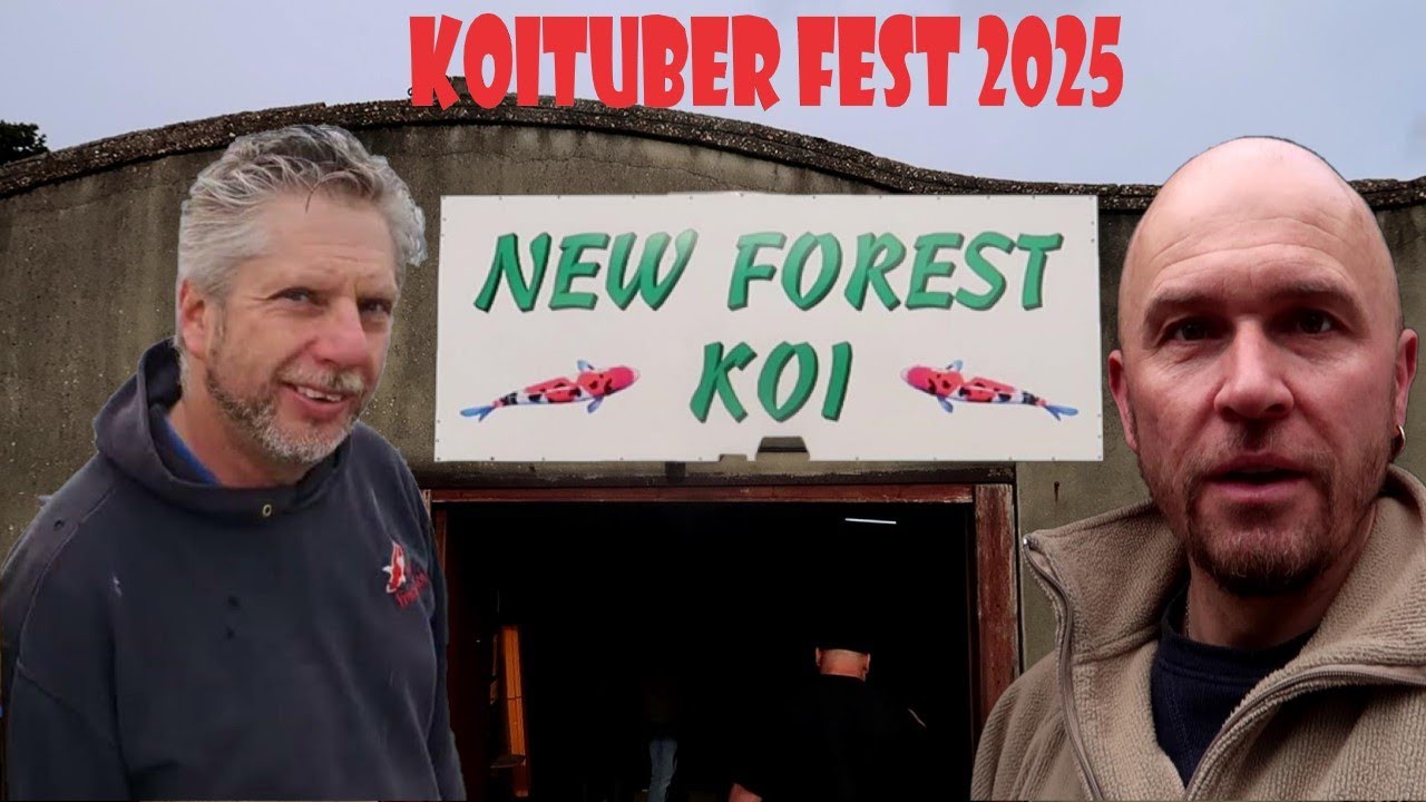 Мероприятие Koi Koituber в Нью-Форесте 2025