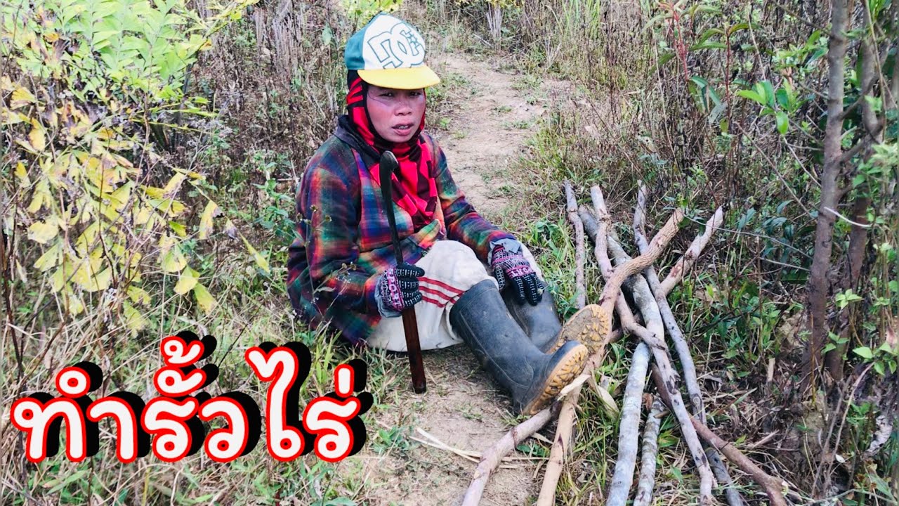 สำรวจดูรั้วไร่เก่า พร้อมทั้งช่อมแชมใหม่ ไม่ให้สัตว์เข้าไปได้อีก
