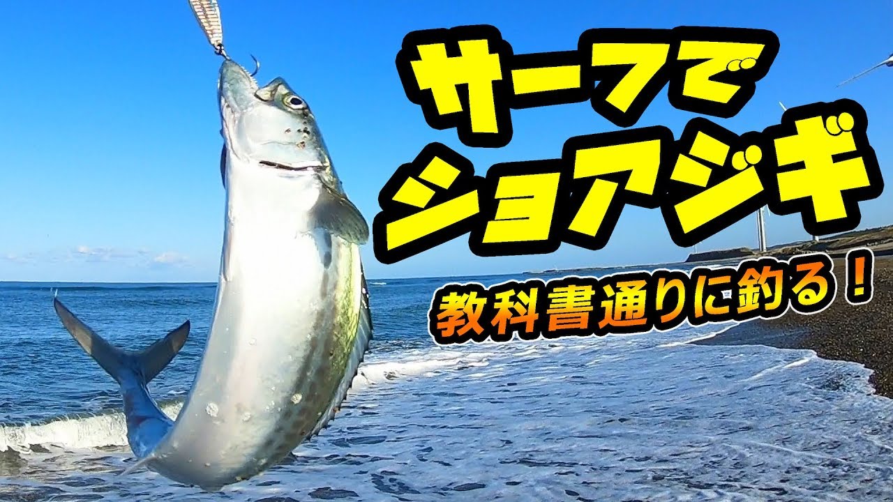 【東北】ショアジギングでサーフを独り占め！『教科書通りに釣ってみた結果！』
