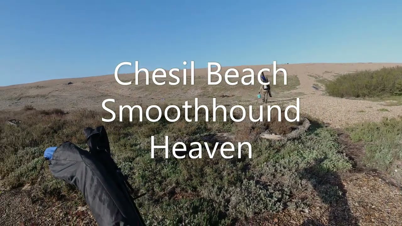 Chesil Beach Smooth hound and bass fishing