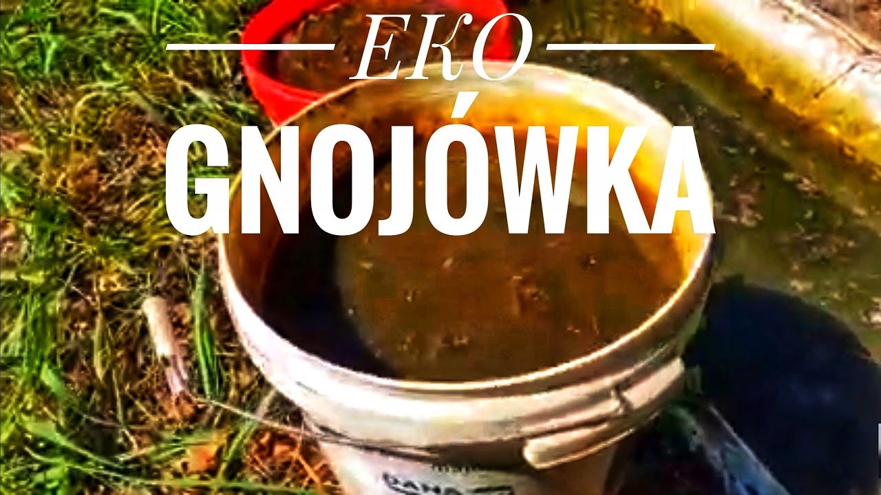 Nawóz ekologiczny