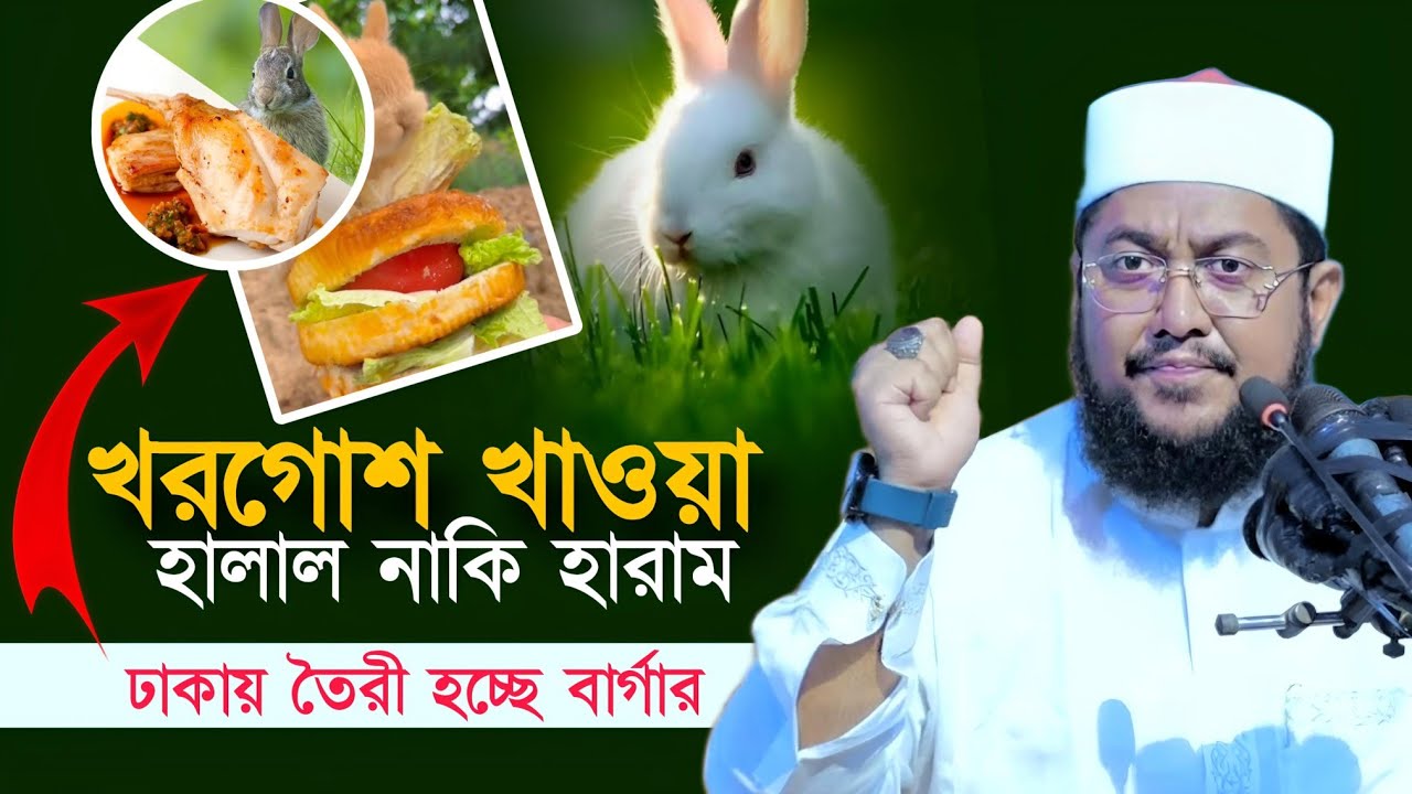 ইসলামে খরগোশের মাংস হালাল নাকি হারাম | Sadikur Rahman Azhari Waz