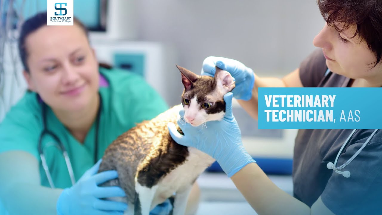 Veterinary Technician Program at Southeast Tech