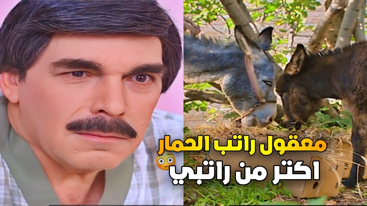 معقول هيك  مهندس ومعو شهادات وراتب الحمار أكتر من راتبه  😮 | نضال سيجري ياسر العظمة