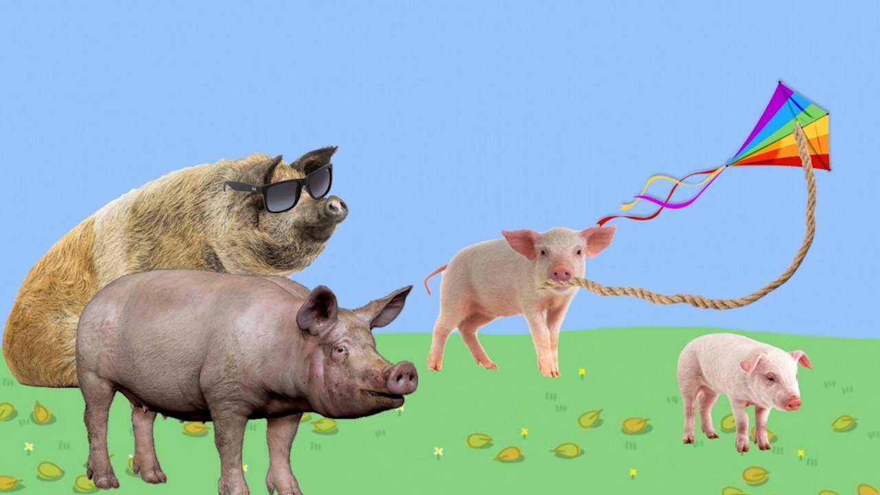 Real life Peppa Pig Parody Episode #14