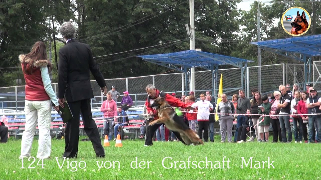 124 Vigo von der Grafschaft Mark