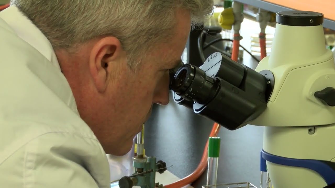 Observación de la Movilidad en Gota Pendiente. Microbiología. UGR