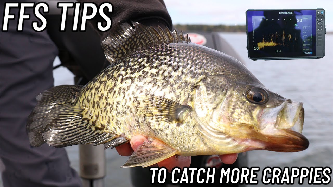 Forward Facing Sonar Tips To Help You FIND and CATCH More Crappie - FFS Crappie Fishing