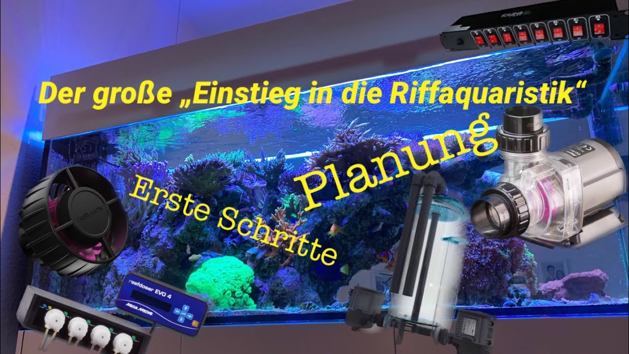 Teil 1 &bdquo;Einstieg in die Riffaquaristik&ldquo; der Plan steht, vom neuen Meerwasseraquarium