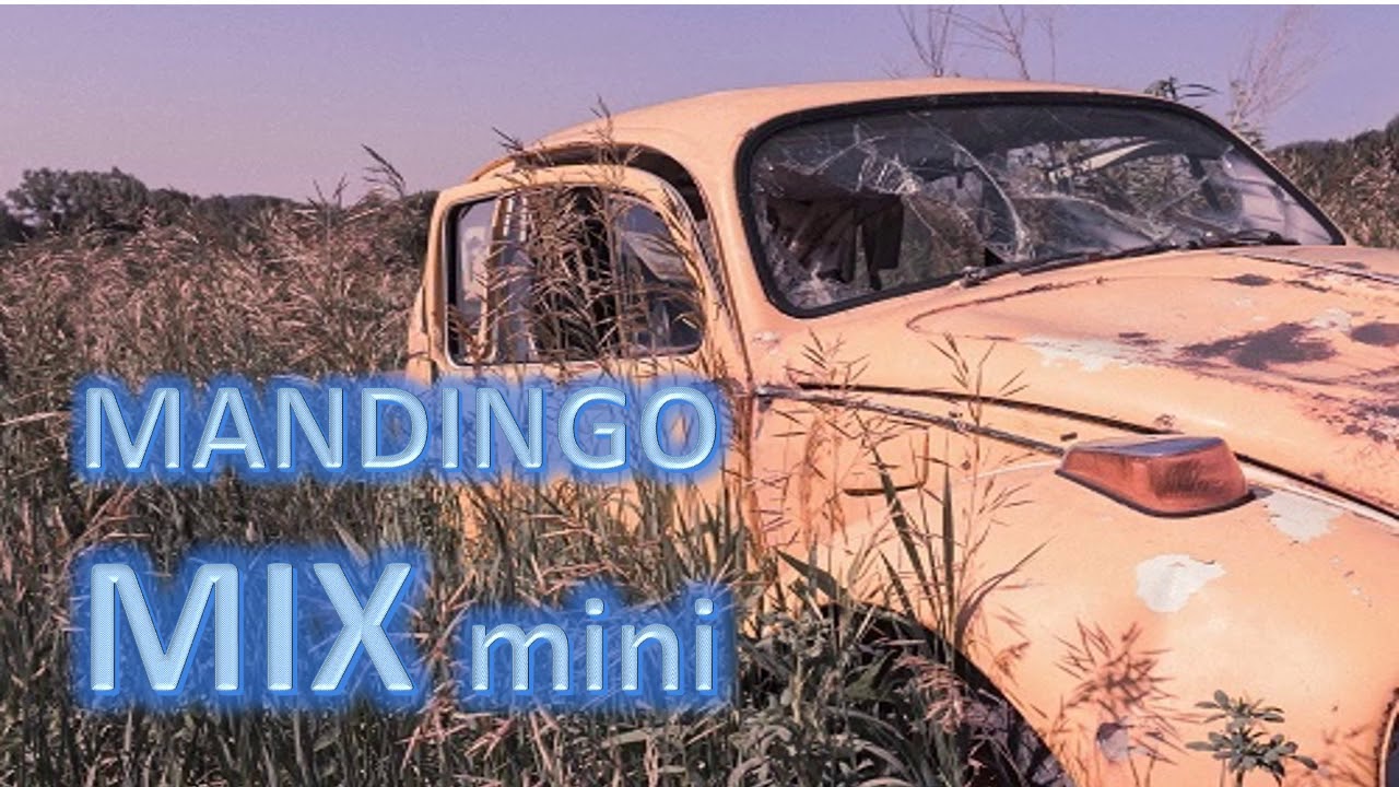 MANDINGO MINI MIX2020
