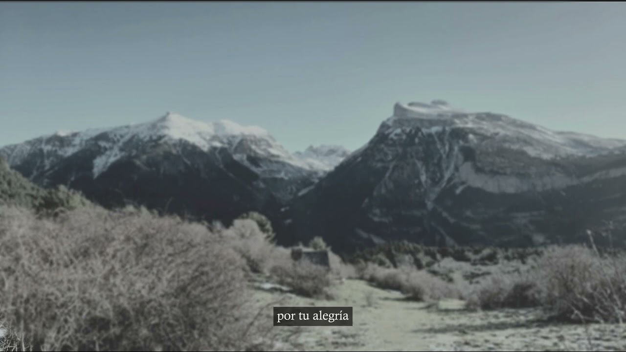 VIVA PALESTINA (mundo fantasma)