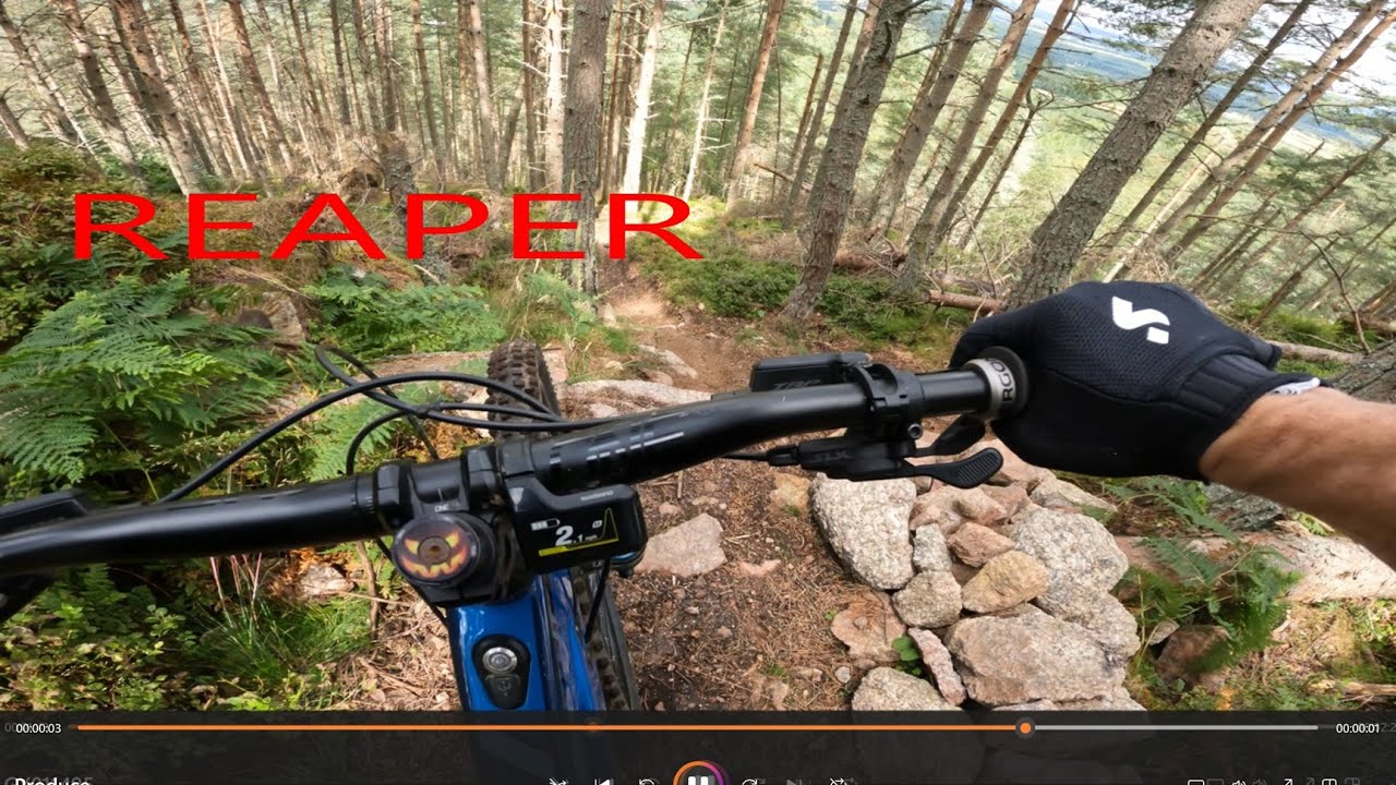 Aboyne MTB Trails! First Time At Aboyne! 28 07 2025