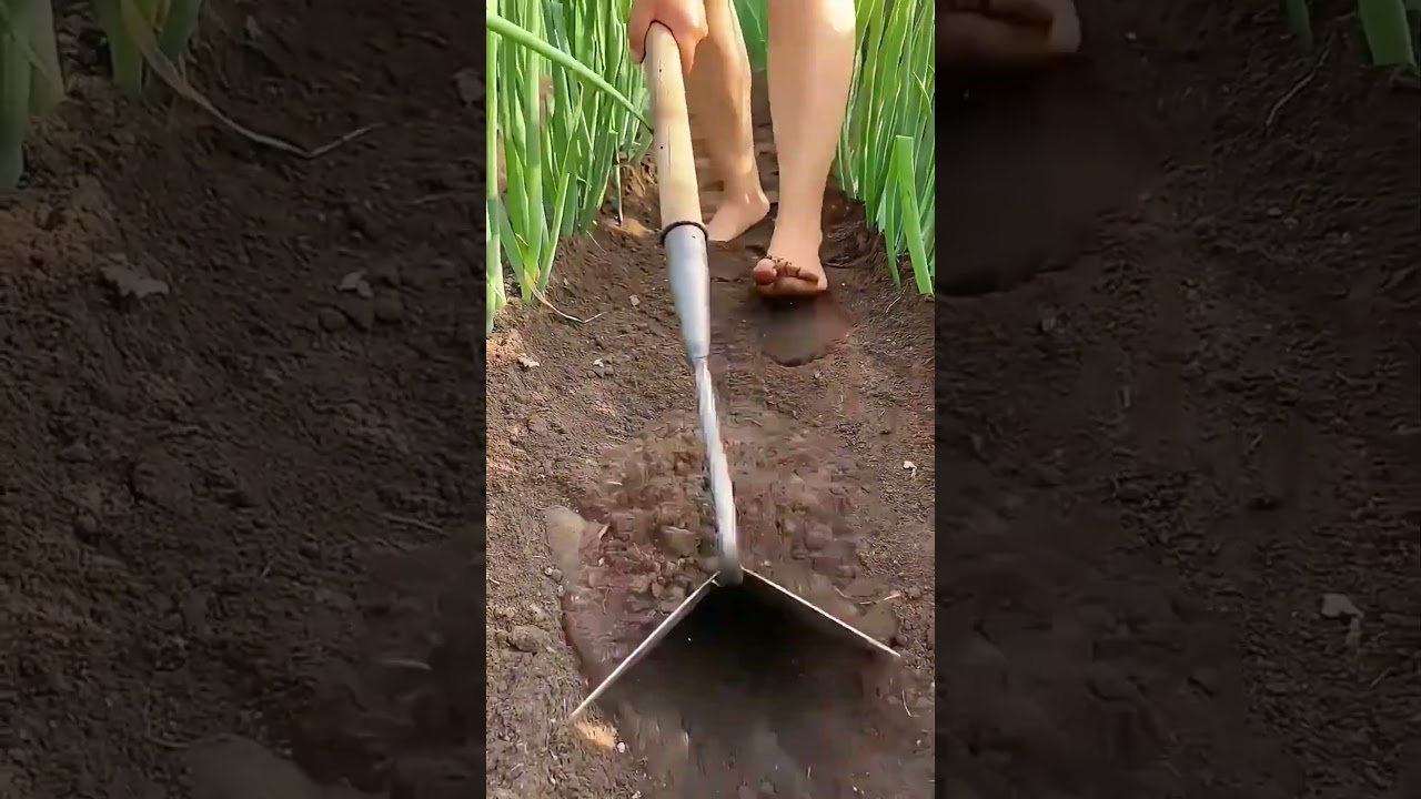 Hoeing process with a high-quality manganese steel triangular hoe #amazing #satisfying