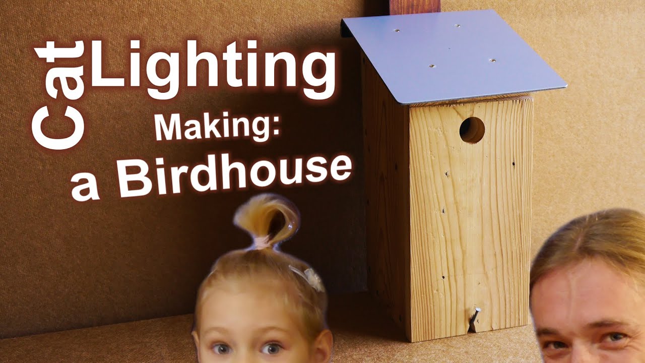 Making: a Birdhouse