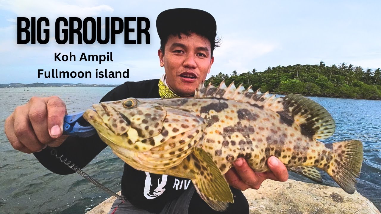 Big Grouper : Koh Ampil fishing explore (Full moon island) | Fishing on-shore