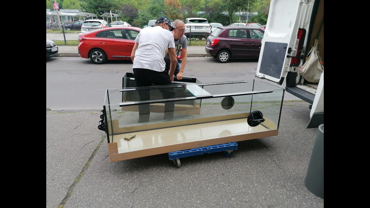 720 Liter Malawi Aquarium - Aufbau und Einrichtung